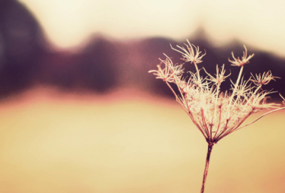 ​小学生谜语3030个