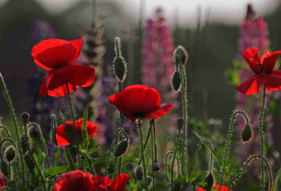 ​容易让女生想歪的谜语3030个