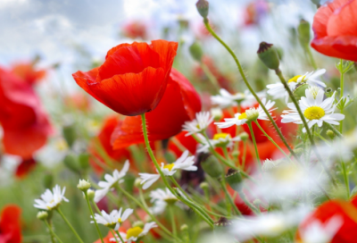 ​猜字谜语大全及答案3022个