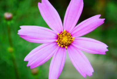 ​谜语幼童3020个