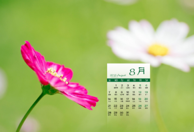 ​儿童谜语大全7一9岁3019个