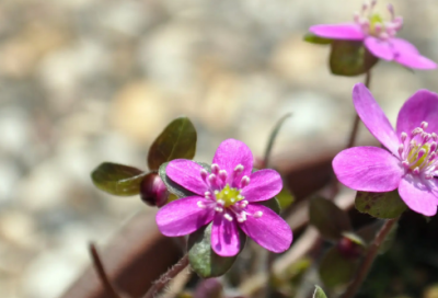 ​谜语有趣3021个