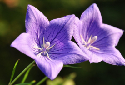 ​谜语大全儿童3到6岁有趣3044个