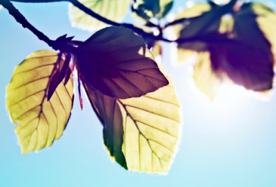 ​小学生谜语大全及答案3031个