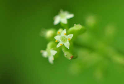 ​谜语大全有趣3020个