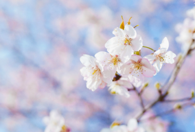 ​小学生谜语大全及答案3019个