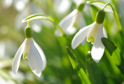 ​谜语大全题目3026个