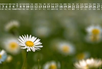 ​儿童谜语3023个