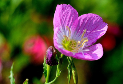 ​幼儿谜语3029个