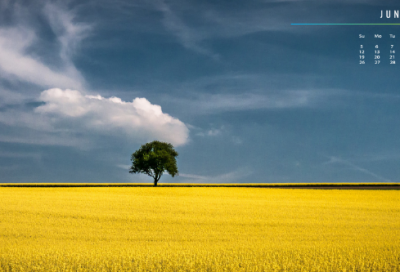 ​谜语大全及答案3032个