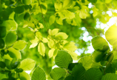 ​少儿谜语大全3036个