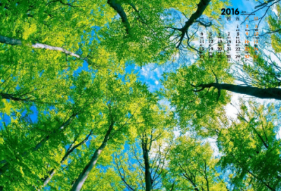 ​儿童谜语大全3到6岁3037个