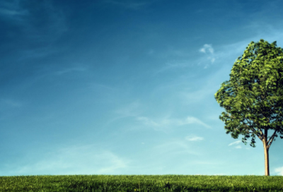 ​小学生谜语3016个