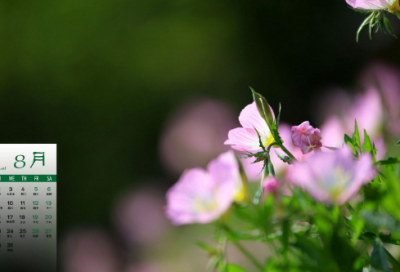 ​谜语沙雕的3031个