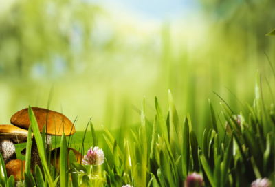 ​谜语有趣3011个