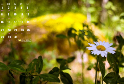 ​儿童谜语大全3到6岁3019个