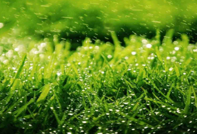 ​谜语题目3012个