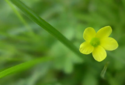 ​儿童谜语大全7一9岁3027个