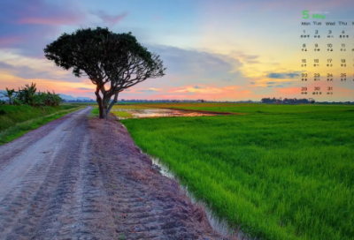 ​幼儿谜语3009个