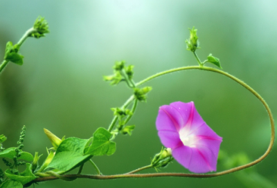 ​幼儿园谜语3015个