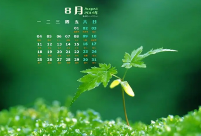 ​小学生谜语3006个