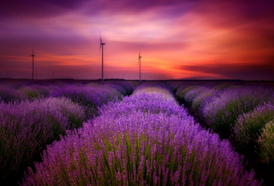 ​一年级谜语大全及答案3034个