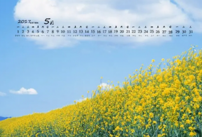 ​谜语大全儿童7到8岁3019个