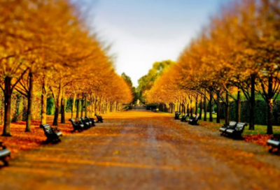 ​谜语大全及答案3026个