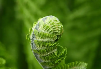 ​谜语大全及答案100个沙雕的