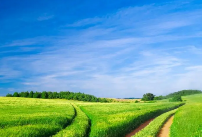 ​少儿谜语大全3016个