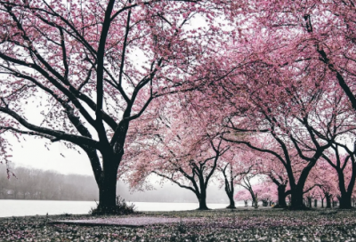 ​猜字谜语大全及答案3014个