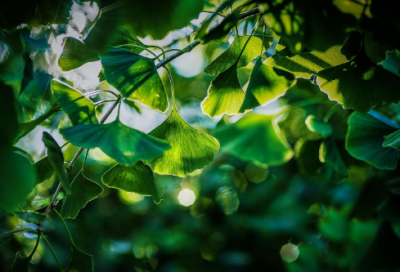 ​儿童谜语大全7一9岁3005个