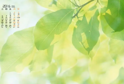 ​谜语大全及答案100个大全合集