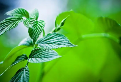 ​最难字谜语大全及答案3022个