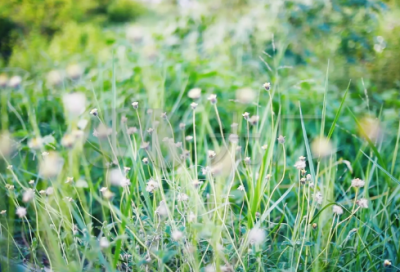 ​最难字谜语大全及答案3012个