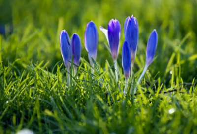 ​儿童谜语大全3001个