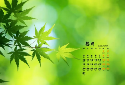 ​儿童谜语3022个