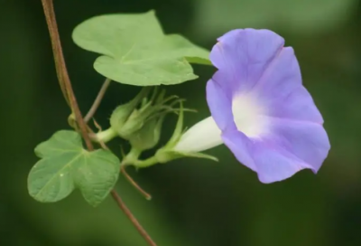 ​谜语大全儿童3到6岁最新的3011个