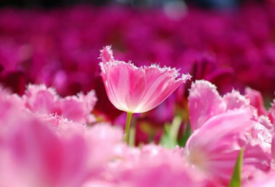 ​猜字谜语大全及答案3013个