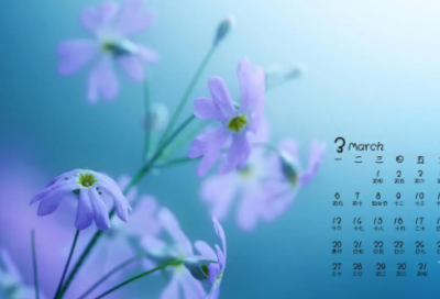 ​谜语大全及答案3013个