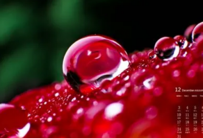 ​小学生谜语大全及答案3000个