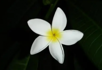 ​小学生谜语大全及答案3012个