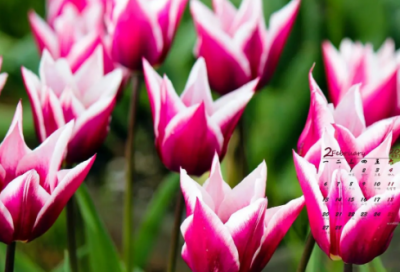 ​幼儿园谜语3022个