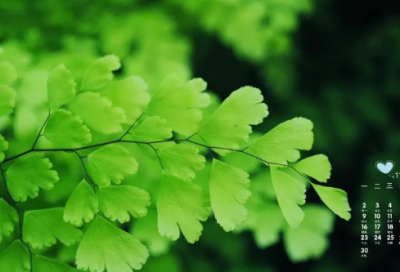 ​谜语大全及答案3018个