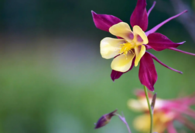 ​小学生谜语大全及答案3006个