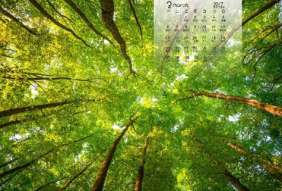 ​谜语大全及答案3020个