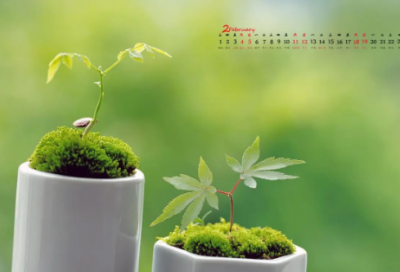 ​谜语大全搞笑的3007个