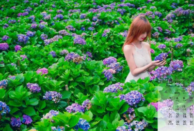 ​小学生谜语3008个