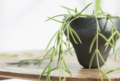 ​最难字谜语大全及答案3019个