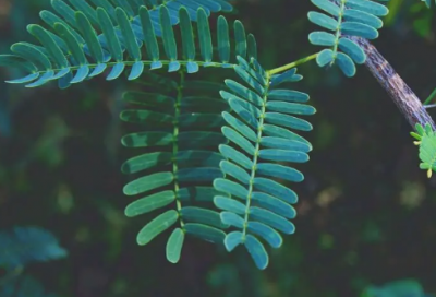 ​谜语大全搞笑3012个